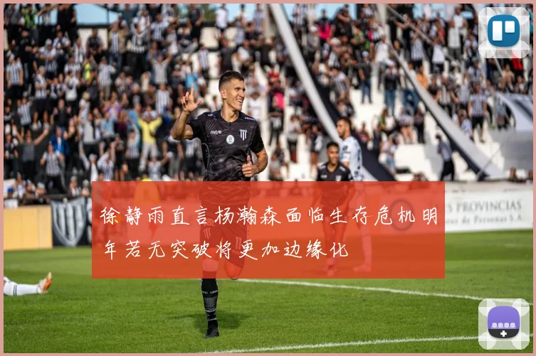 徐静雨直言杨瀚森面临生存危机明年若无突破将更加边缘化